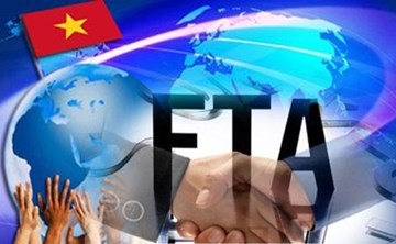 NGÀNH GIẤY VIỆT NAM TRƯỚC HIỆP ĐỊNH THƯƠNG MẠI FTA