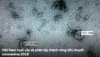 Việt Nam nuôi cấy và phân lập thành công virus corona mới