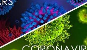 Những ngành nào “hưởng lợi” khi kinh tế “hứng đòn” từ virus Corona?