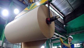 Giấy Kim Điền Đông Quan của Trung Quốc giảm nhịp độ sản xuất giấy tại các nhà máy ở Giang Tô và Quảng Đông