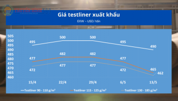 Giá testliner xuất khẩu và trong nước từ ngày 7/5 đến ngày 13/5