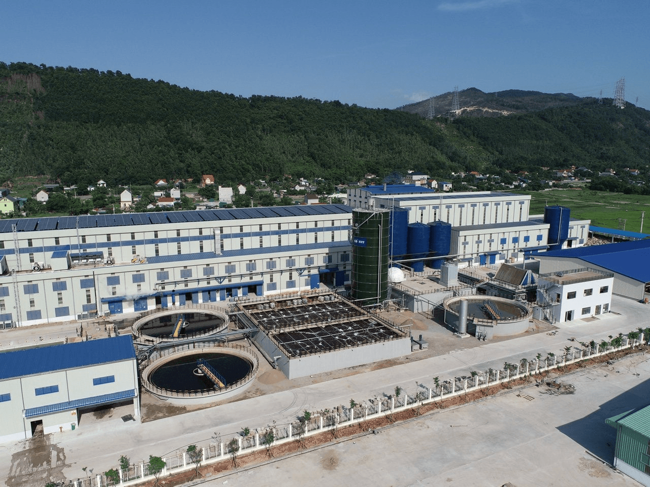 Treatment Statistics