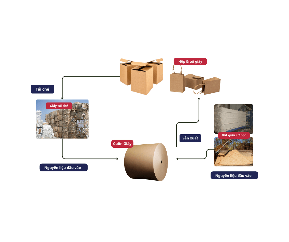 Circular Economy Model